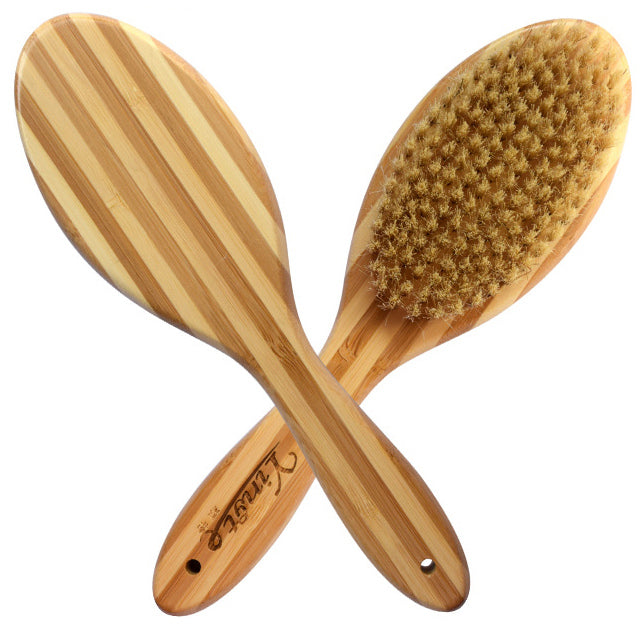 http://www.pureglonaturals.com/cdn/shop/products/Natural-Bamboo-Boar-Bristles-Clean-Grooming-Pet-Brush_1200x1200.jpg?v=1596094653